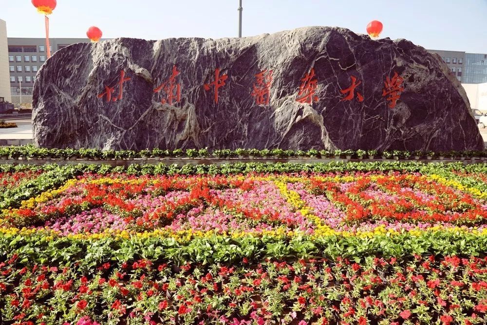 甘肃省中医药大学和平校区-厨房给排水系统